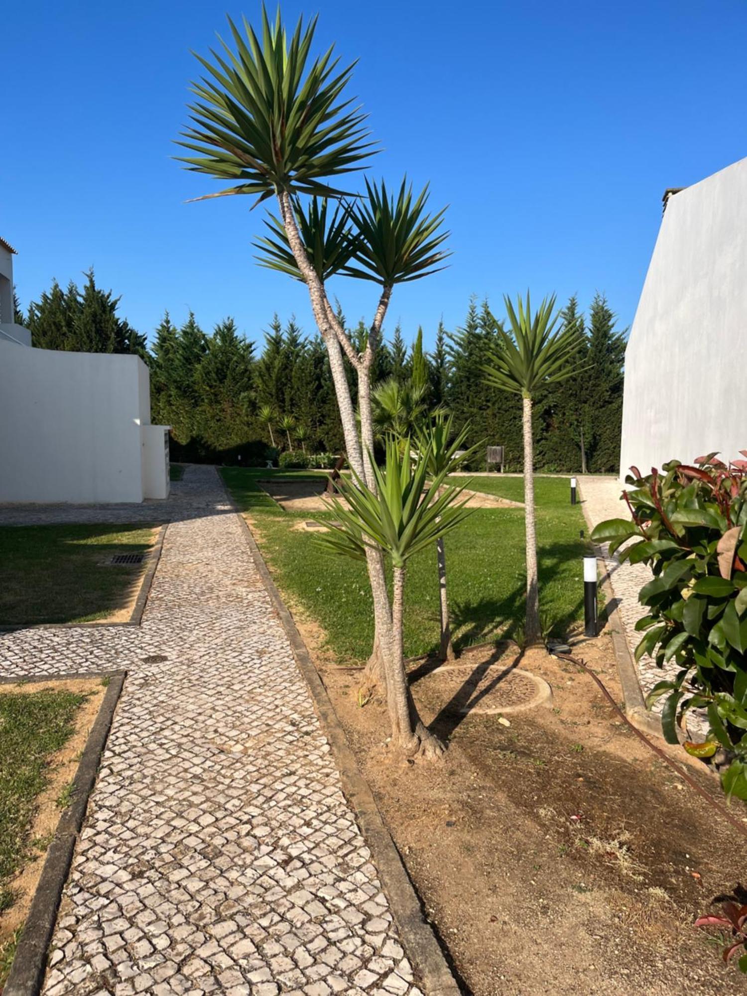Apartment Piscina E Golf Alvor